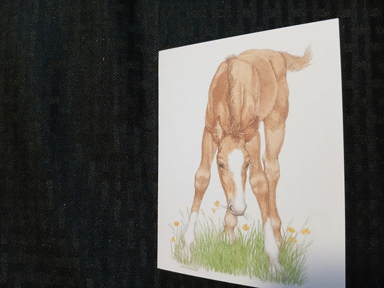 Critters  greeting cards